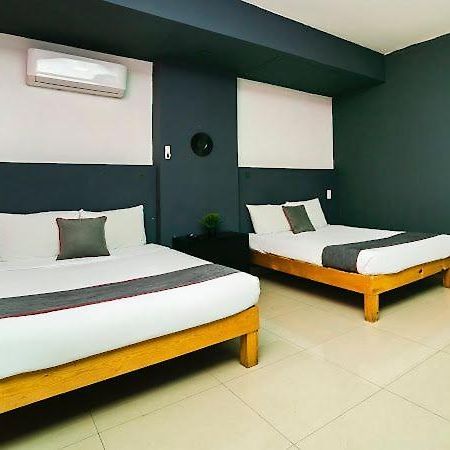 Adhoc Plaza Hotell Monterrey Exteriör bild