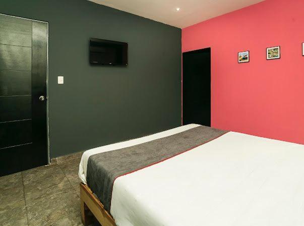Adhoc Plaza Hotell Monterrey Exteriör bild